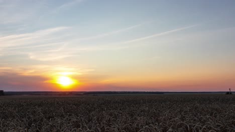 Zeitraffer-Des-Sonnenuntergangs-Mit-Dünnen-Wolken-über-Dem-Weizenfeld