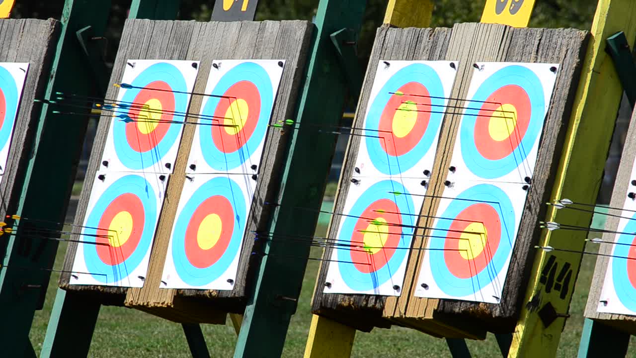Bersagli per il tiro con l'arco. Tiro in estate