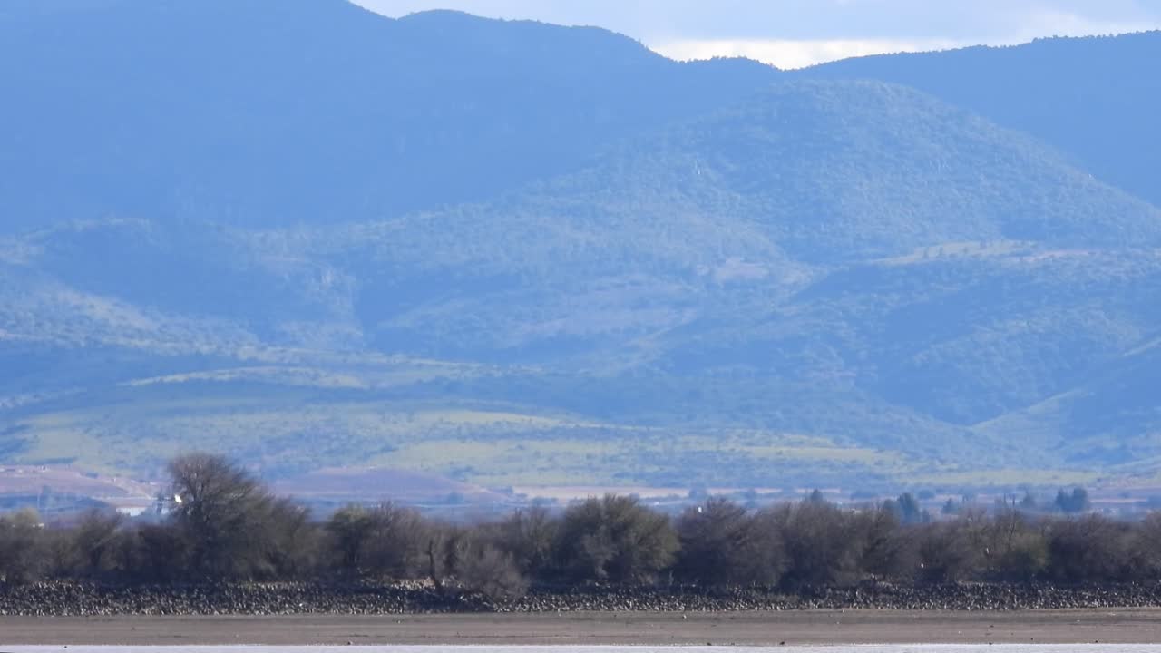 Captivating time-lapse: Watch clouds dance over lush green mountain in stunning stock footage