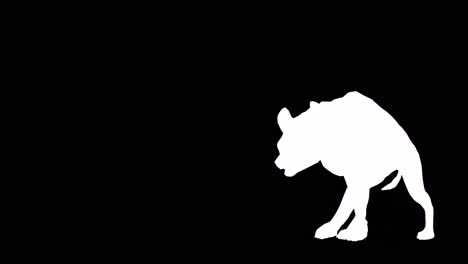 una hiena caminando sobre un fondo negro con el canal alfa incluido al final del video, animación 3d, vista en perspectiva, animales animados, animación de bucle sin costuras