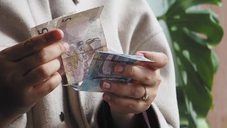 close-up of hands counting banknotes