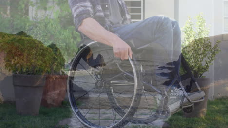 creating serene atmosphere, person in wheelchair with nature animation overlay outdoors