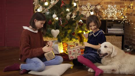 two excited children shaking gift box under christmas tree with their golden retriever dog