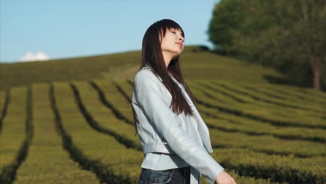 woman in a tea plantation