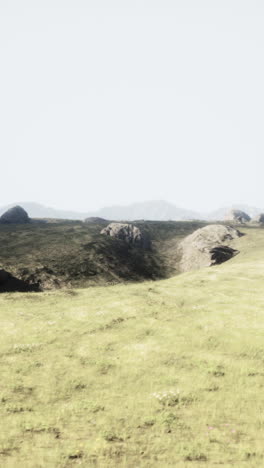 a beautiful field with grass and mountains in the background