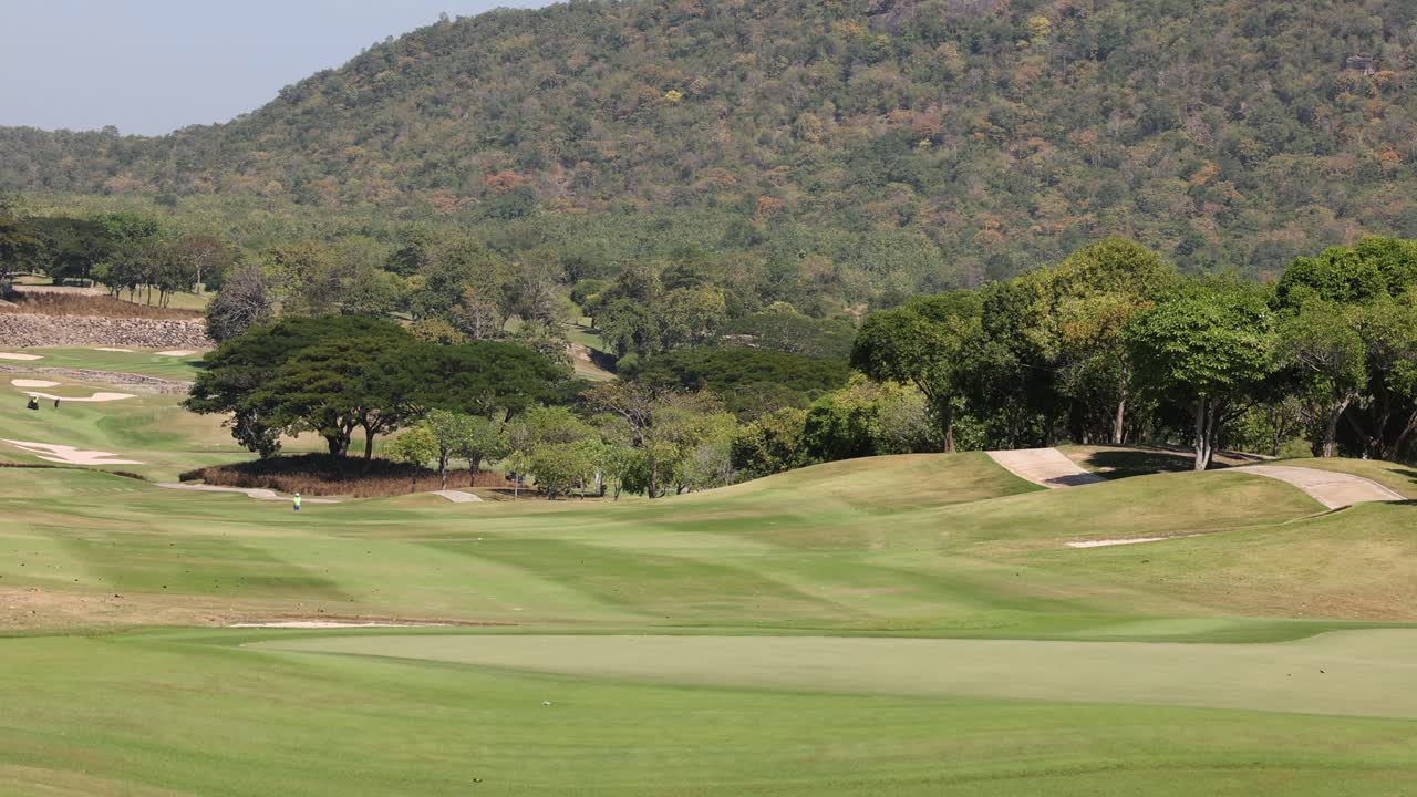 울창 한 초록색 을 가진 조용 한 골프장
