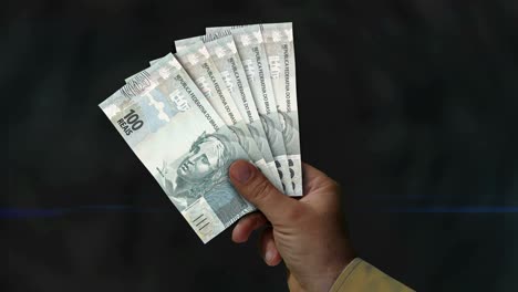real brasileño, dinero reai ventilador de billetes en la mano