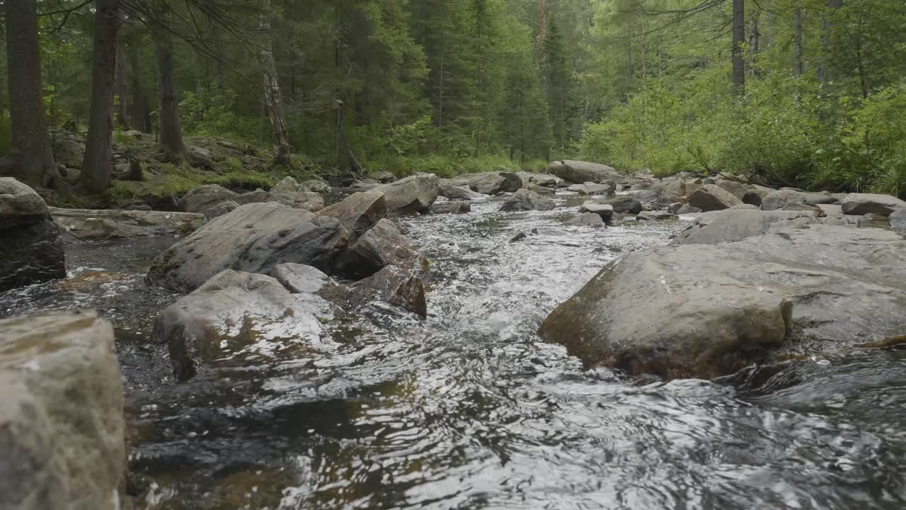 Corrente forestale con rocce