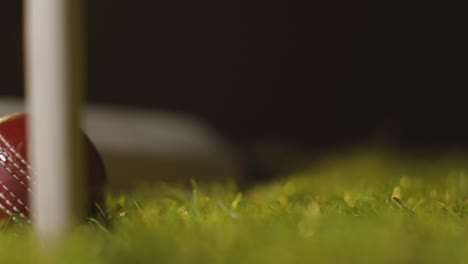 cricket still life with close up of ball and bat lying in grass behind stumps 1