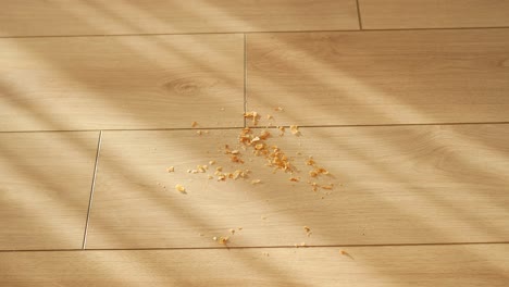 vacuuming wooden floor