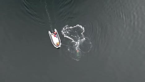 imágenes aéreas y de montaje en la cabeza de noaa intentando separar una ballena jorobada de un equipo de pesca