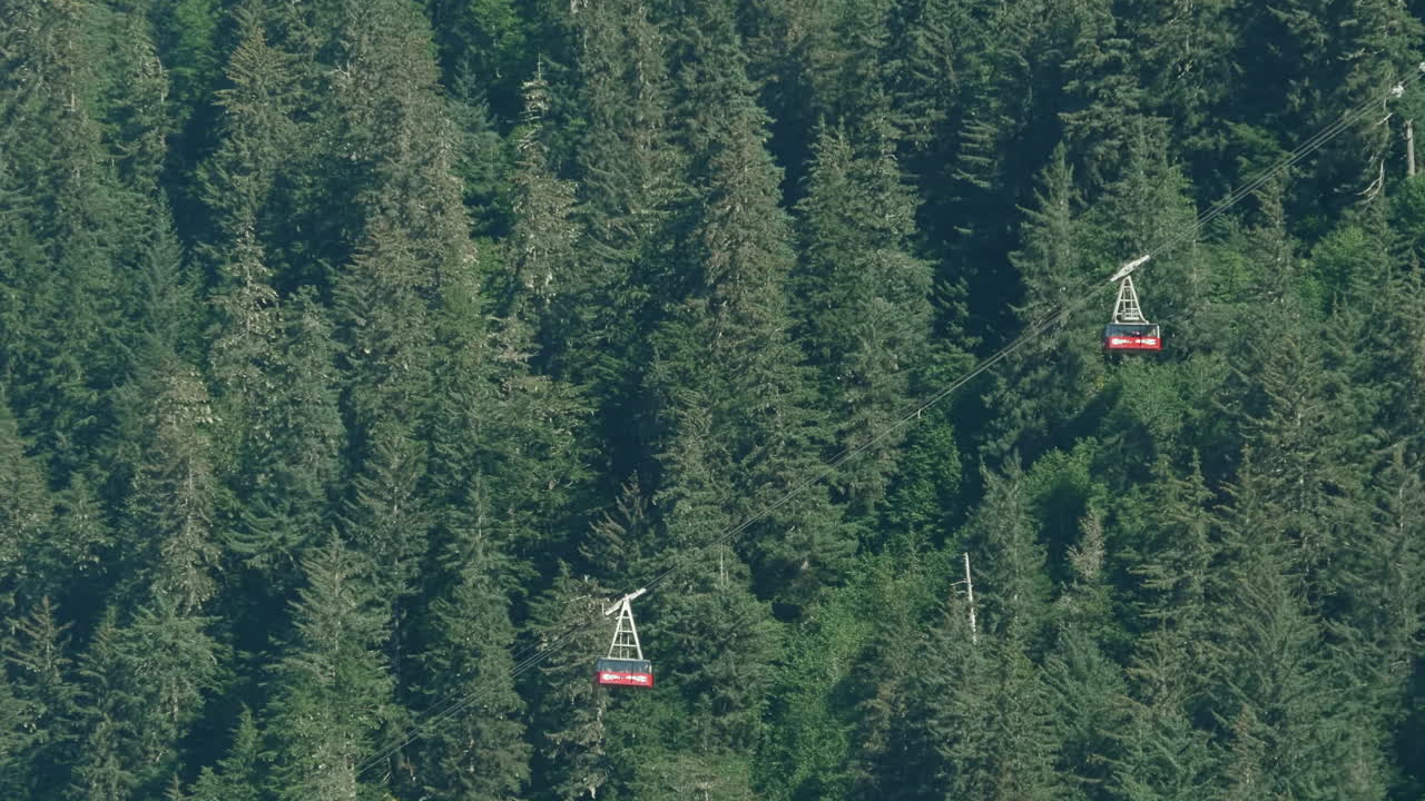 알래스카 주네우 근처의 숲 앞에서 은 산면 엘리베이터를 가로지르고 있습니다.