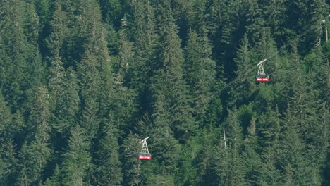 red mountainside lifts crossing in front of the forest near juneau alaska