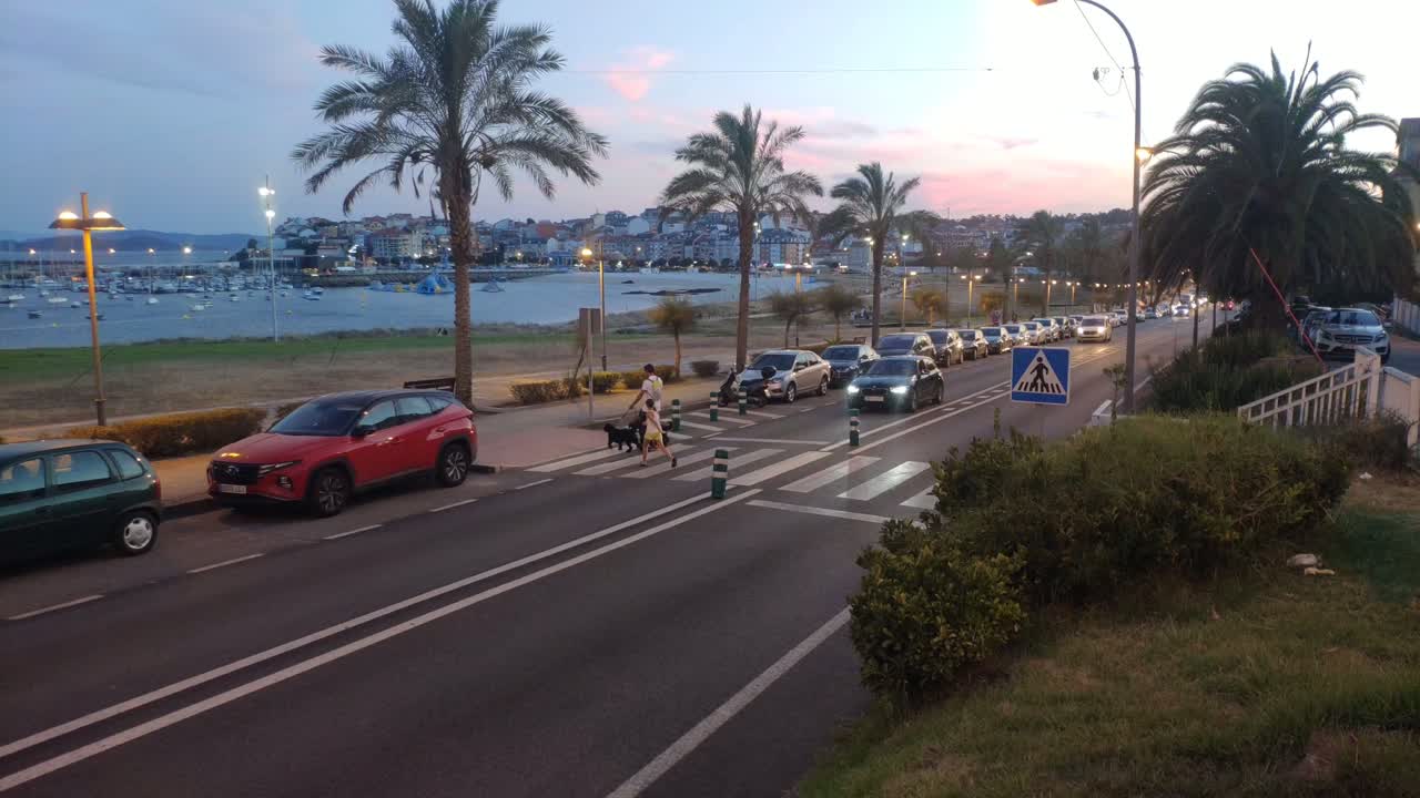 Father and daughter with dogs crossing pedestrian crossings, cars stop when crossing with street lamps at sunset, the harbor in the background. Panoramic shot going down.Porto-Novo, Pontevedra, Spain