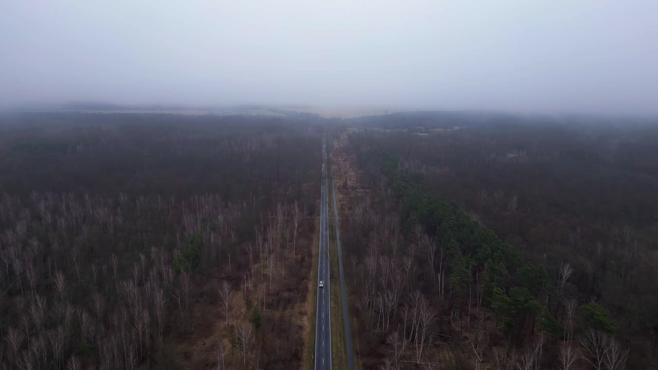 겨울에 안개와 함께 숲을 가로지르는 직선 도로. 멋진 공중 전망 비행 속도 램프 하이퍼 모션 시간 지연