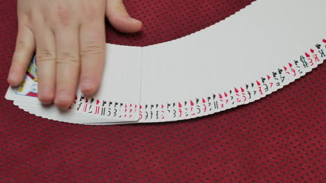 closeup of a skilled gambler spreading a deck of cards on a red game table