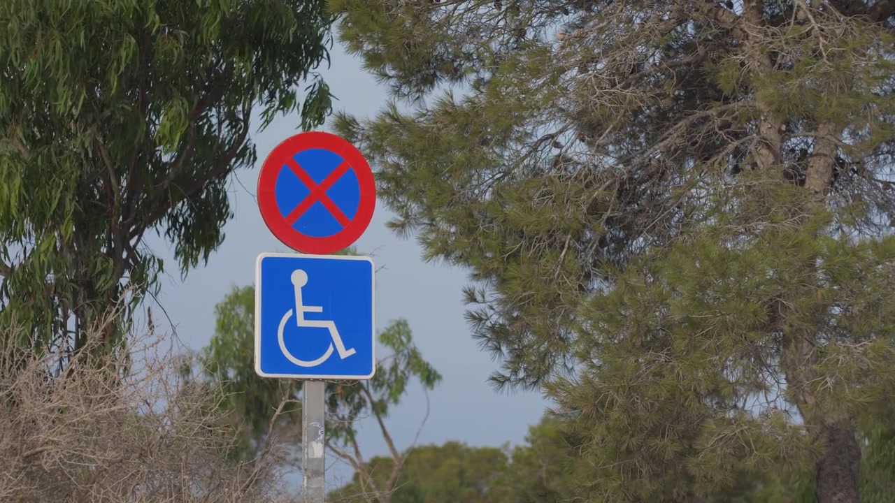 Video che mostra un segnale di divieto di sosta e un segnale di parcheggio accessibile per disabili, incorniciati da una verde vegetazione mediterranea in una giornata di sole.