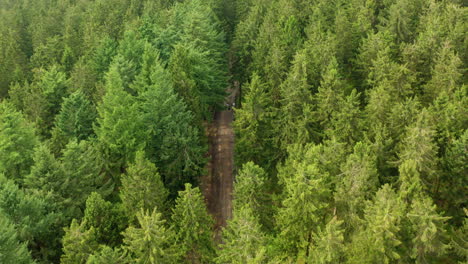 top down aerial shot of a young man riding a quad through a forest path, surrounded by lush greenery