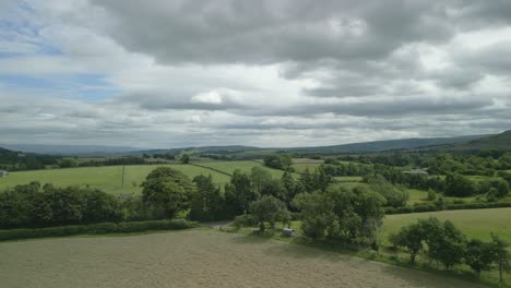 farmland and hedgerows on overcast summer day