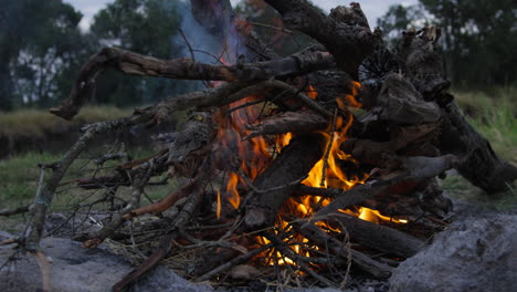 fogata después del atardecer en un camping en ol pejeta, kenia