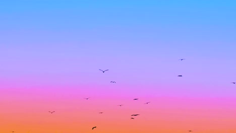 aves migratorias flotando sobre el cielo al atardecer con un horizonte colorido