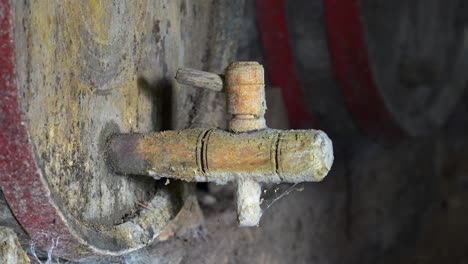 close-up of a moldy wooden wine tap on an old barrel
