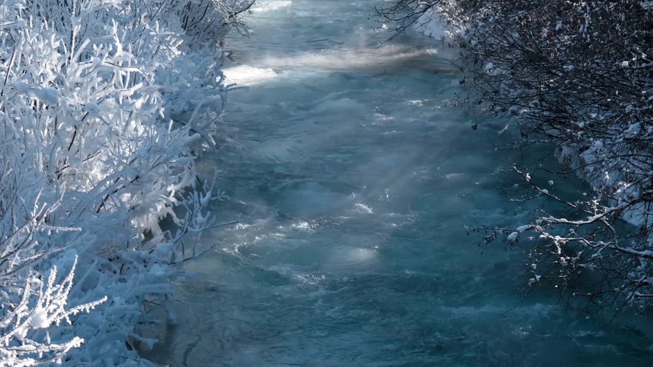 얼어붙은 눈 주위를 흐르는 작은 물줄기는 겨울 동안 안개와 안개로 나무를 덮었습니다.