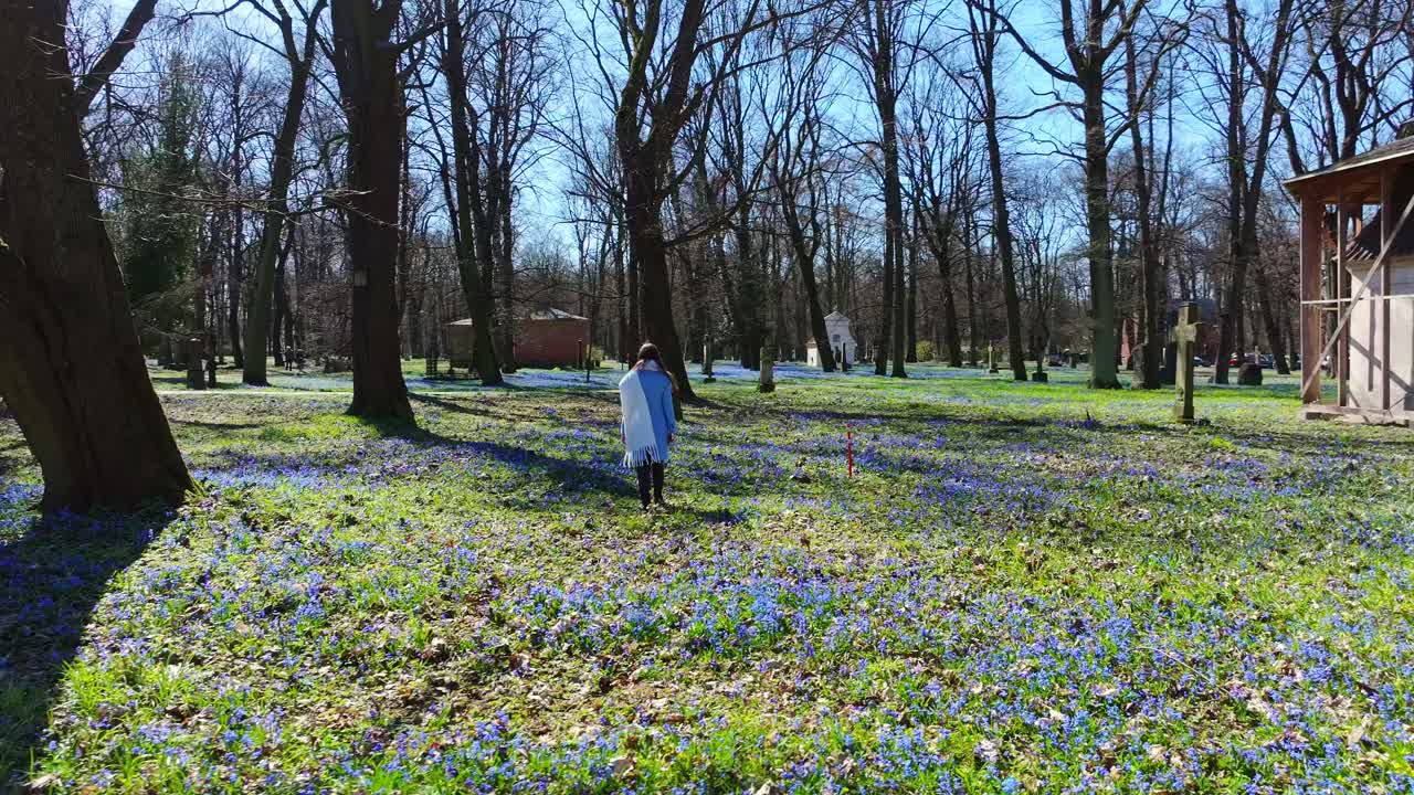 Slow-motion walk through blooming cemetery under blue sky and morning sunlight