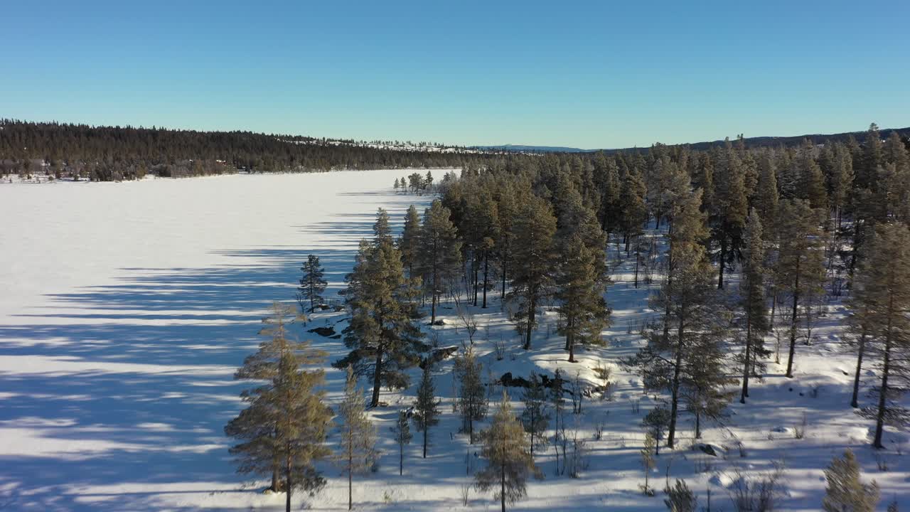 Flyr over frosne furutopper nær snødekte Synstevatn ferskvannssjø ved det vakre Nesfjellet i Norge