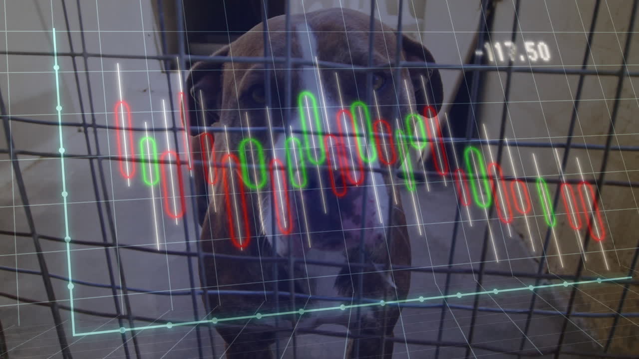 Dog standing inside metal wire crate while candlestick graphs moving over digital grid overlay