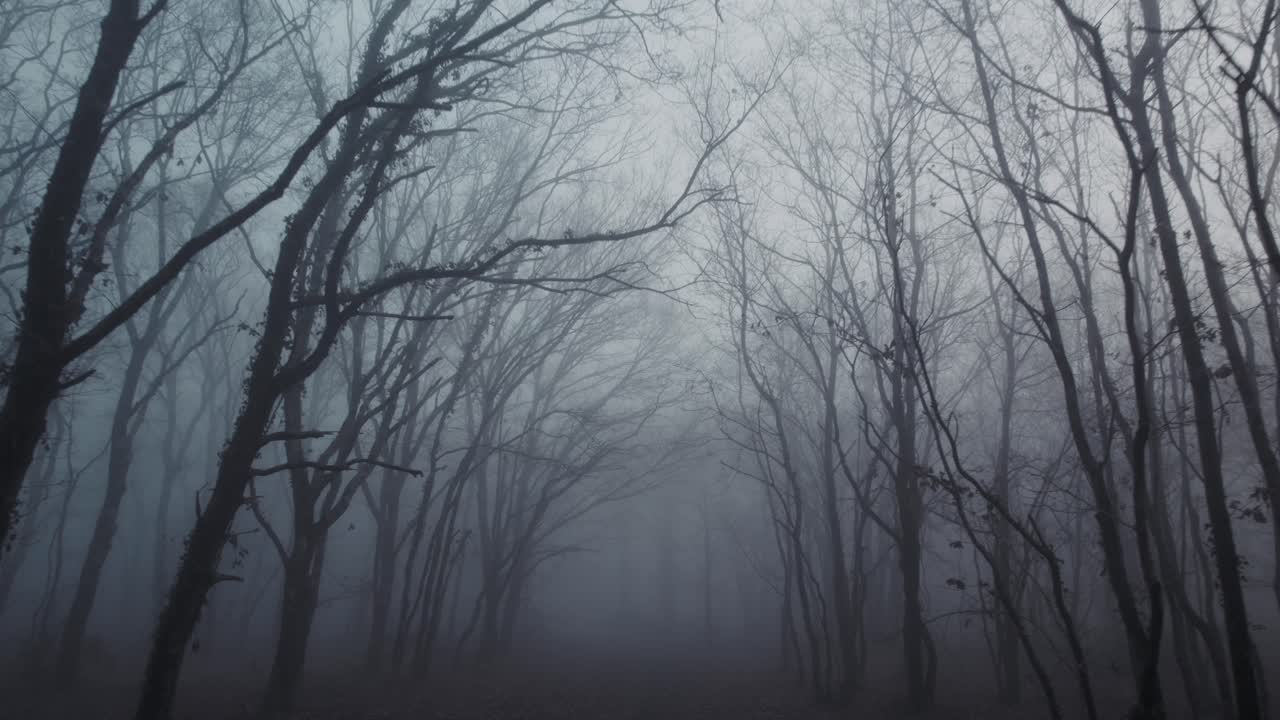 corriendo despacio a rápido en el bosque del horror en un día de mal humor y niebla, moviéndose hacia adelante disparado