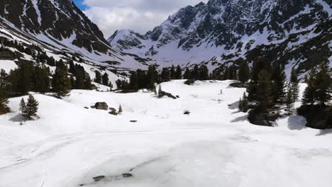 snowy mountain landscape with pine trees and rocks