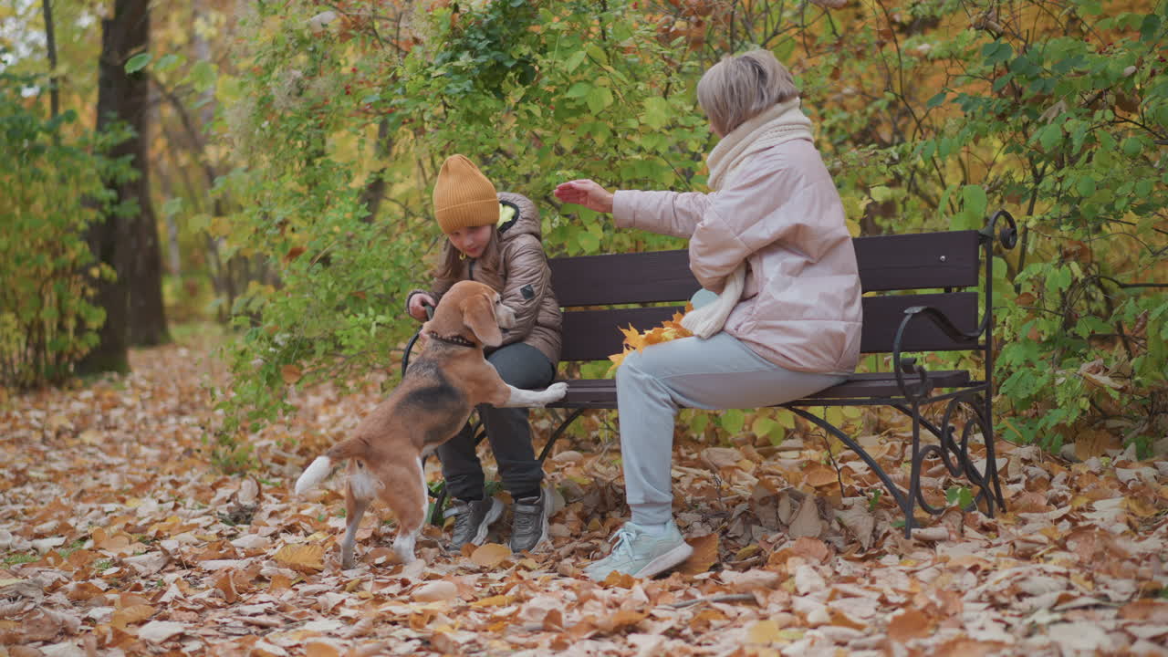 beagle dog climbs up park bench to interact with smiling woman and young daughter surrounded by golden autumn leaves and lush trees during peaceful outdoor moment in vibrant seasonal