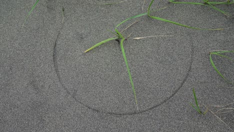 Dibujo-Circular-En-La-Arena-Con-Césped-De-Playa-Arrastrado-Por-Una-Suave-Brisa