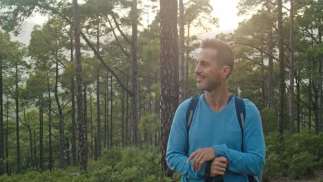 feliz viajero masculino en el bosque de coníferas