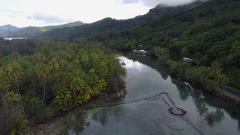 ancient stone fish trap in tropical tidal lagoon in french polynesia