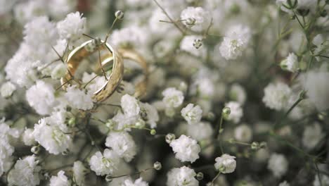 Macro-shot-of-golden-wedding-bands-in-white-flowers