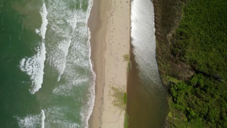 sandy beach meeting the sea, lush green trees and vibrant textures , aerial view