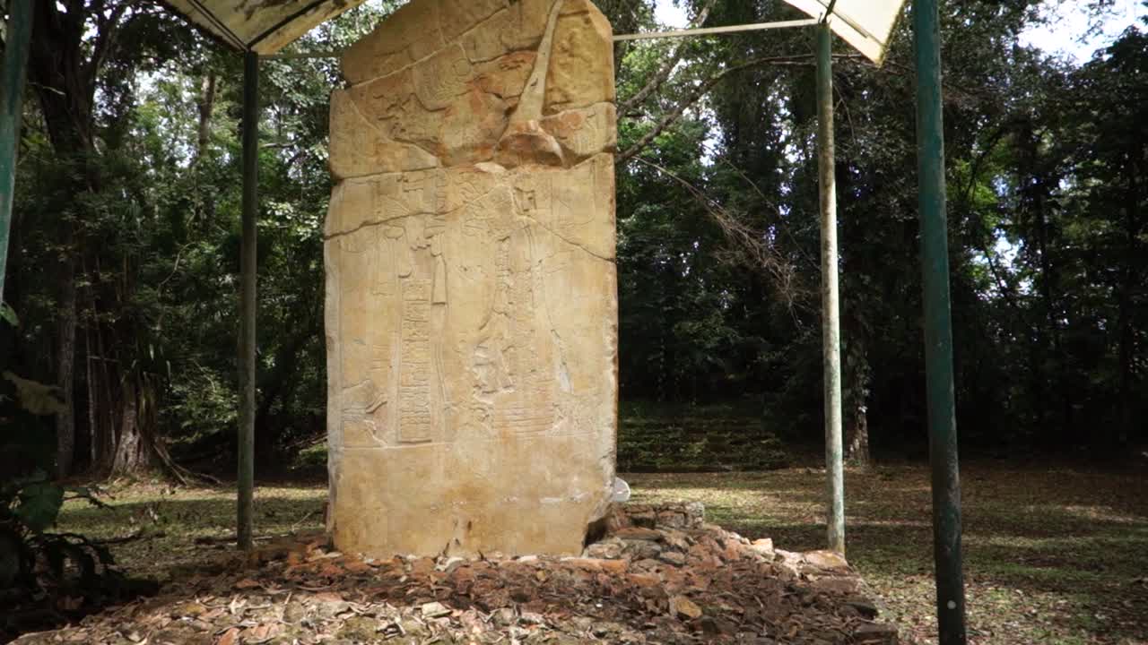 una estela maya se asienta en un entorno selvático en belice