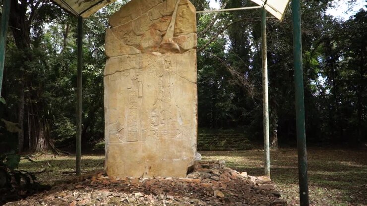 Uma estela maia em um ambiente de selva em Belize