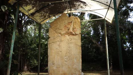 a mayan stelae sits in a jungle environment in belize