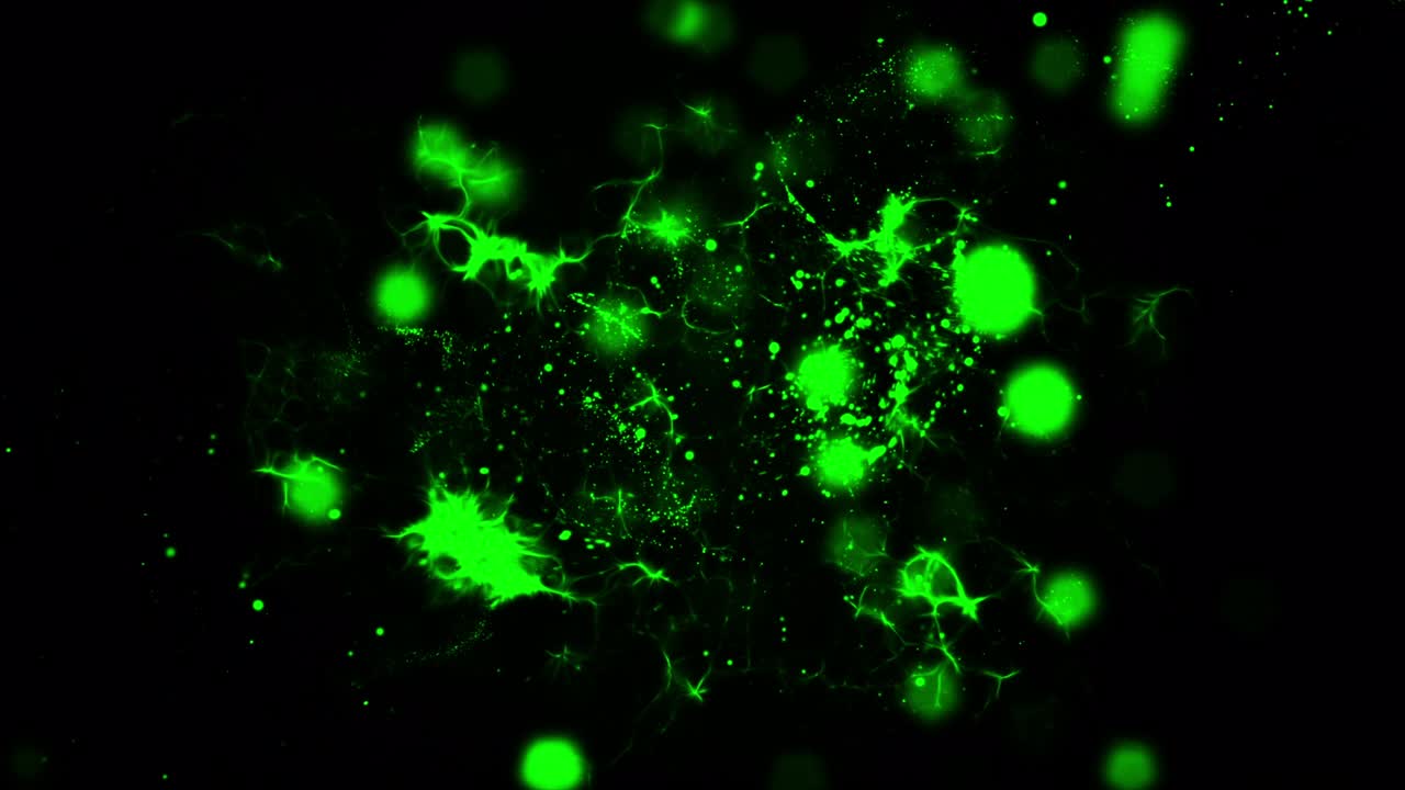 스 비디오의 전체 색 입자 폭발 칠면조 - 국가, 폭발, 입자, 원, 반이는