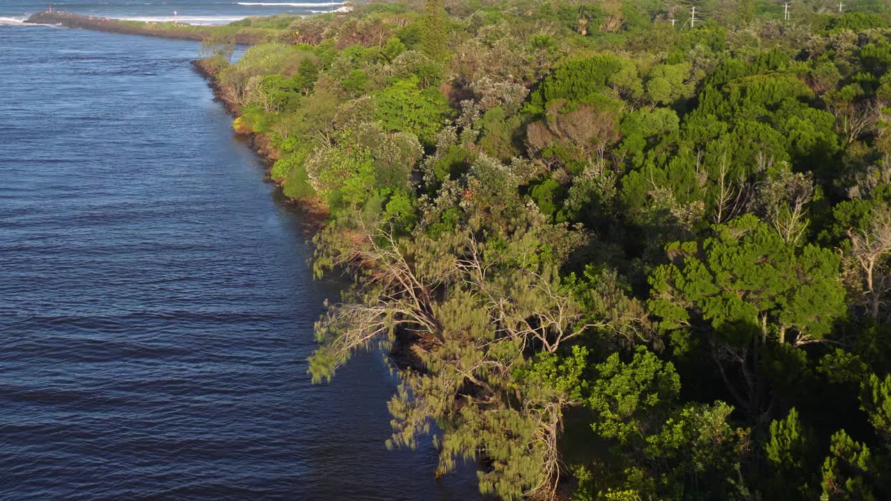 Drone footage captures lush greenery and winding river in Brunswick Heads, NSW, Australia. Vibrant colors and serene atmosphere dominate