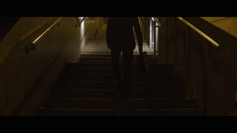 man walking up the stairs with a rabbit head carries a briefcase