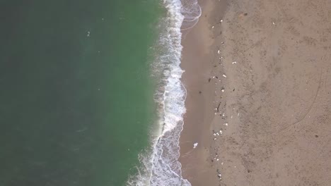 contaminación costera con playa sucia, basura, desechos domésticos que contaminan el océano en rayong, tailandia