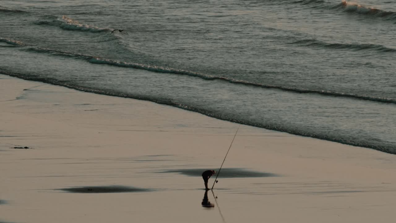 un pescador en una playa vacía durante la puesta de sol con una gaviota volando a cámara lenta