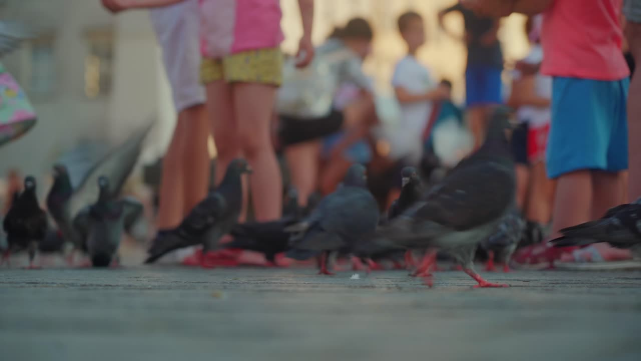 la gente está alimentando migas a un grupo de