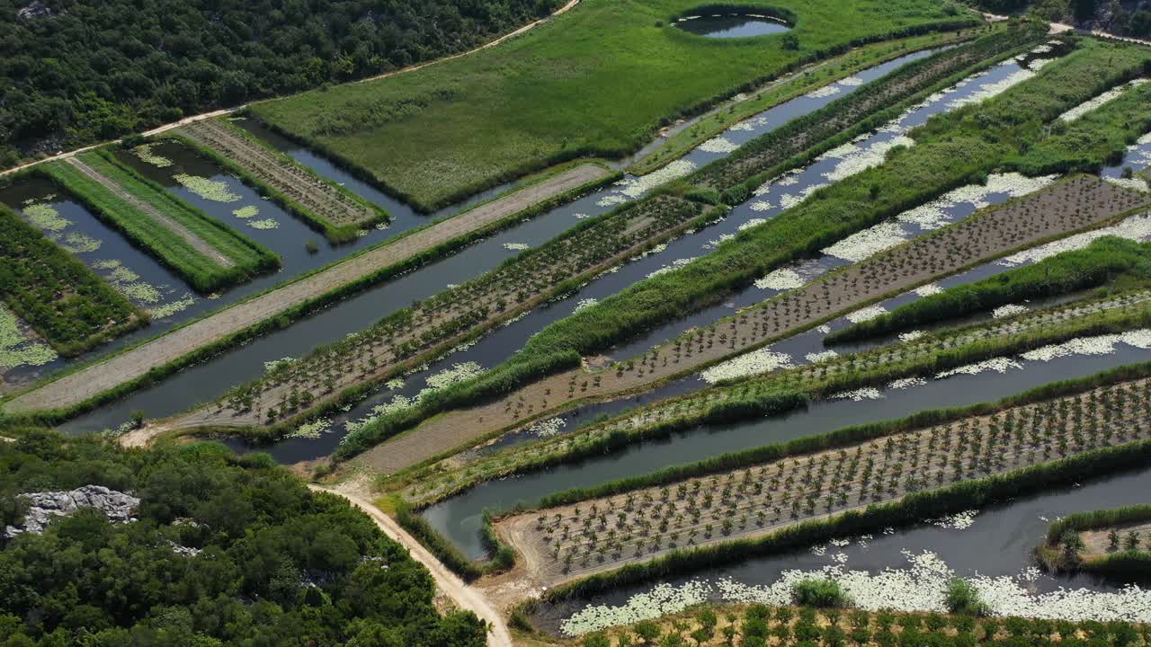Neretva Valley, flying over Agriculture Plantation Fields in Delta of River Neretva in South Croatia - Aerial Drone View