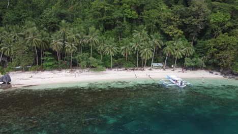 aerial pullback pan across tropical palm tree forest beach of pasandigan cove