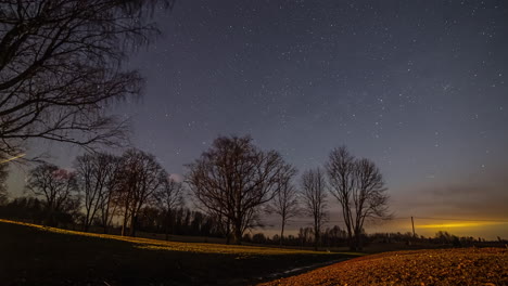 Lapso-De-Tiempo-De-Un-Cielo-Estrellado-Con-Muchas-Estrellas-Fugaces-Capturadas-En-Los-Suburbios-Con-árboles-En-Primer-Plano